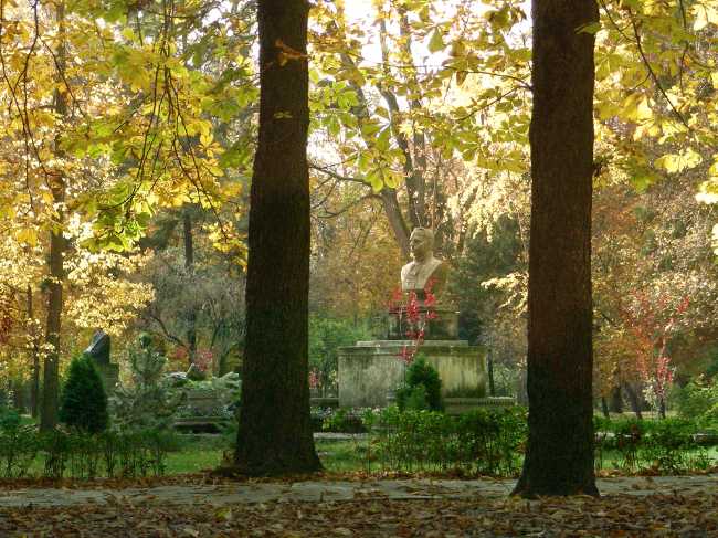 Central Park Simion Bărnuțiu