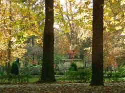 Central Park Simion Bărnuțiu