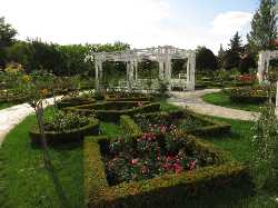 Roses Park