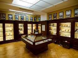 University Museum