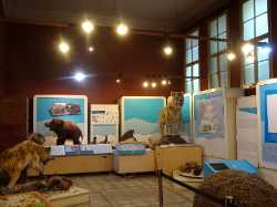 Museum of Natural Sciences