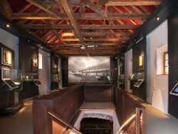 The Oldest Vine Museum