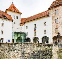 Knežji dvorec