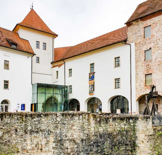 Knežji dvorec