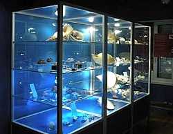 Magical World of Shells Museum