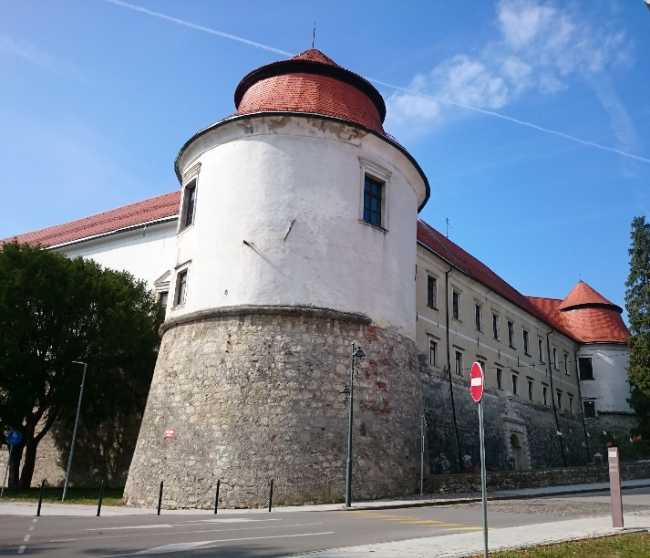 Brežice Castle