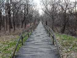 Adica Forest Park