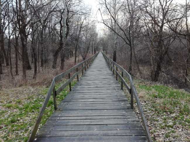 Adica Forest Park