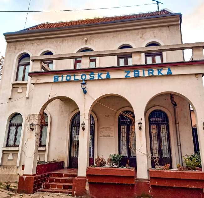Biološka zbirka (JU Muzej istočne Bosne Tuzla)