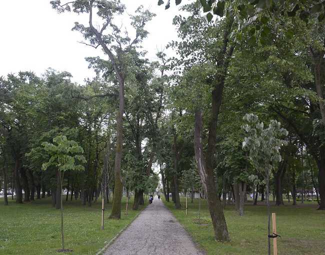 Big Park
