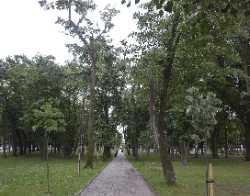 Big Park