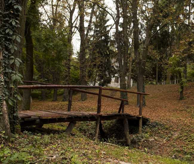 Dvorska Bašta