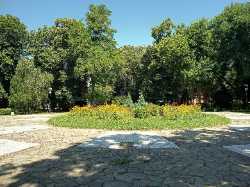 Dondukova Garden