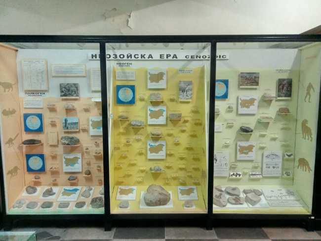 Museum of Natural History Varna