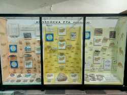 Museum of Natural History Varna