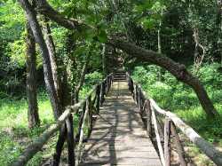 University Botanical Garden Varna