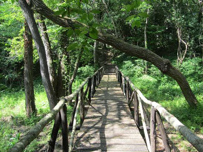 University Botanical Garden Varna
