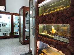 Varna Aquarium