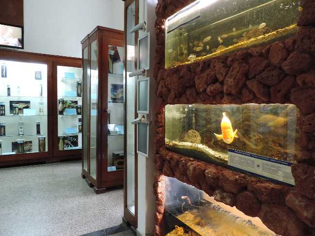 Varna Aquarium