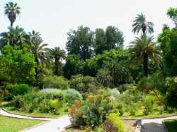 Botanical Garden of Rome