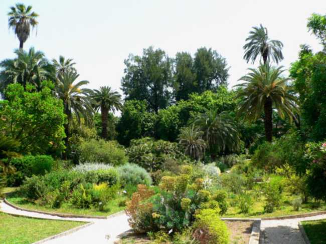 Botanical Garden of Rome