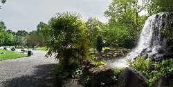 Iveagh Gardens