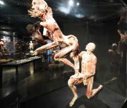 Body Worlds Amsterdam