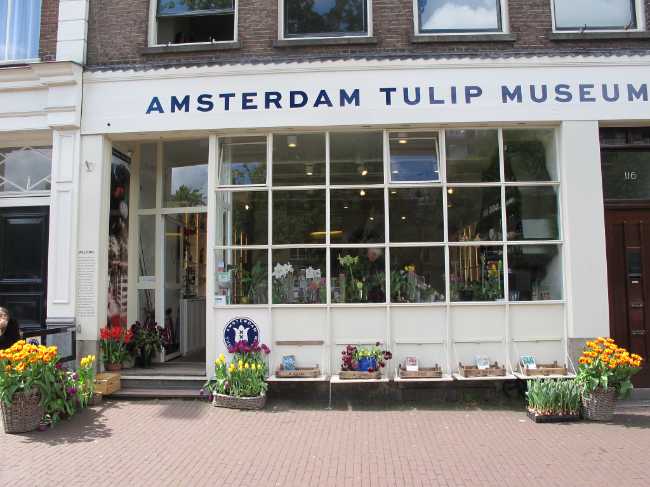 Tulip Museum