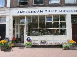 Tulip Museum
