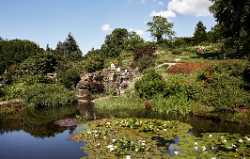 Botanical Garden