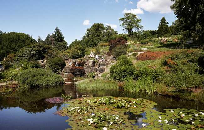 Botanical Garden