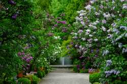 Botanical Garden of the University of Warsaw