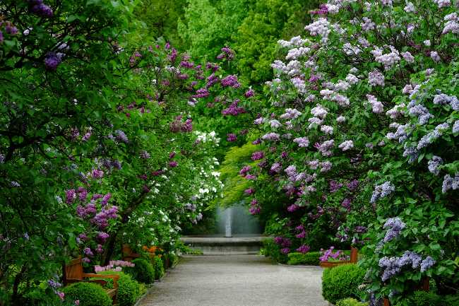 Botanical Garden of the University of Warsaw