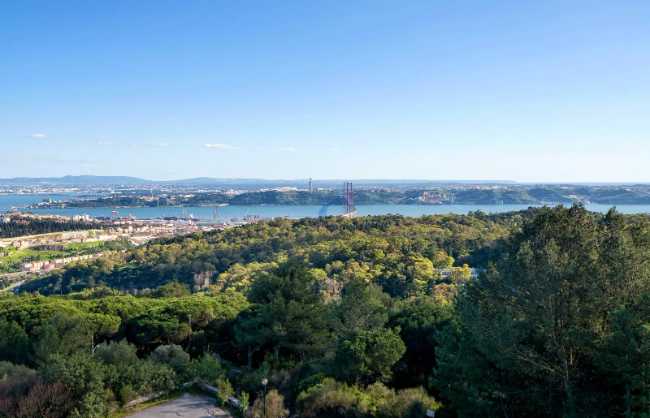 Monsanto Forest Park