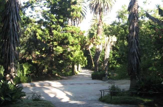 Jardim Botânico da Universidade de Lisboa