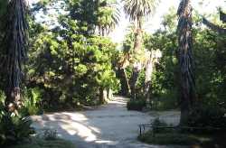 Jardim Botânico da Universidade de Lisboa