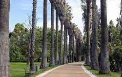 Jardim Botânico Tropical
