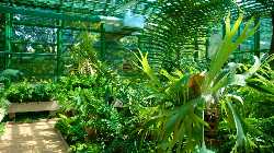 Botanical Garden of Bucharest