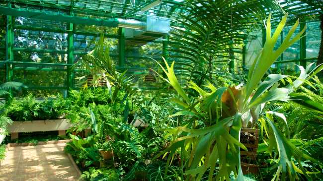 Botanical Garden of Bucharest