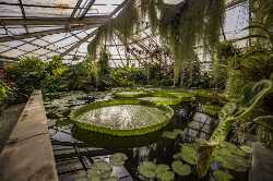 Botanical Garden of Comenius University