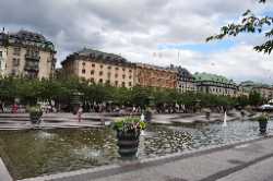 Kungsträdgården