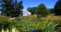 Bergianska trädgården