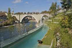 Bear Park