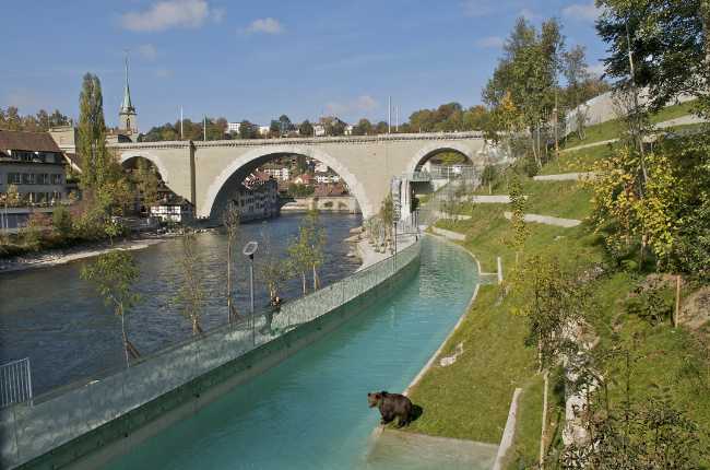 Bear Park