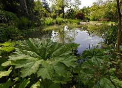 University of Bern Botanical Garden