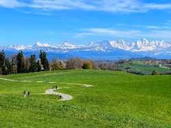 Gurten
