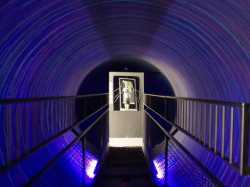 Museum of Illusions