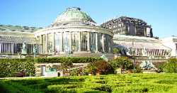 Botanical Garden of Brussels