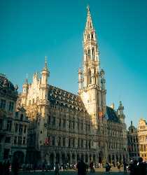 Brussels Town Hall