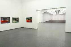 Rayko Aleksiev Gallery